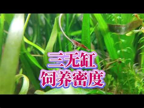 魚缸密度計算|魚缸計算機｜魚缸過濾｜魚缸光照｜魚缸溫度｜魚缸Di